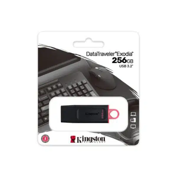 USB DE 256GB