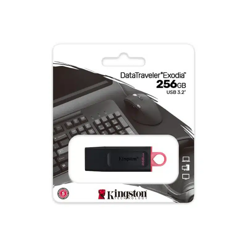 USB DE 256GB